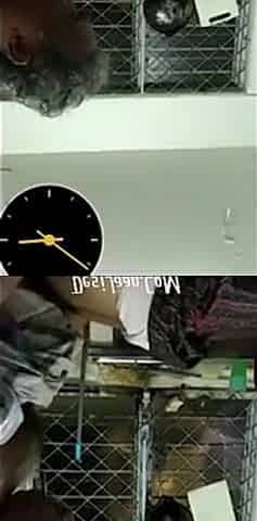 Desi Sasur Like To Fuck His Bahu Everyday When Nobody At Home Desi Mms