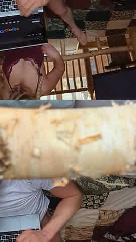 Creampie mother i'd like to fuck