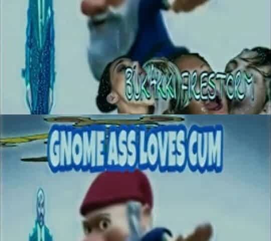 GNOME BUTT NEEDS CUM - BUKAKKI FIRESTORM GULL EXPERIMENTAL PROJECT FREE!!!!
