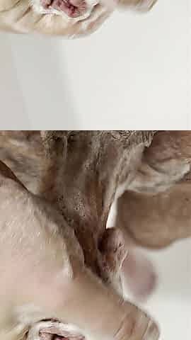 Soapy Jerk Off, standing in bathtub, uncut closeup, foreskin. Amateur Solo Home movie.