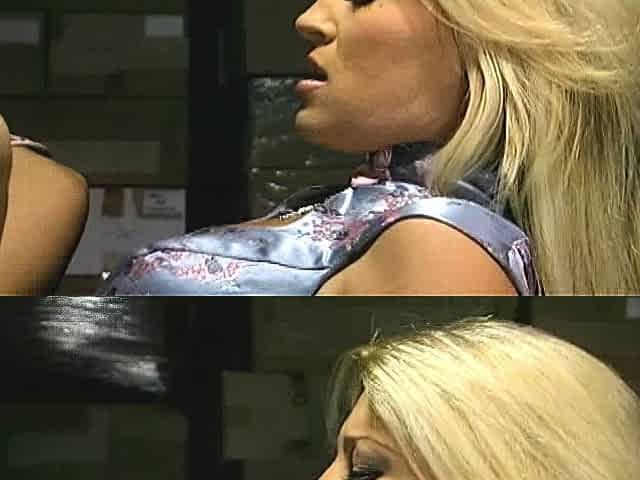 Babe takes a big cock between her boobs
