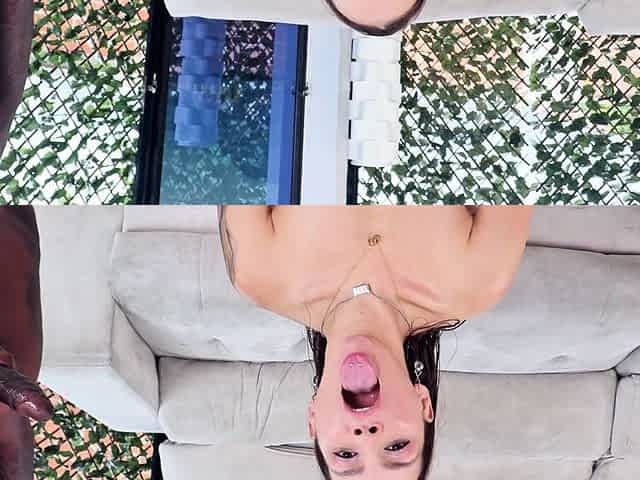 Yessica Bunny - Wet DAP