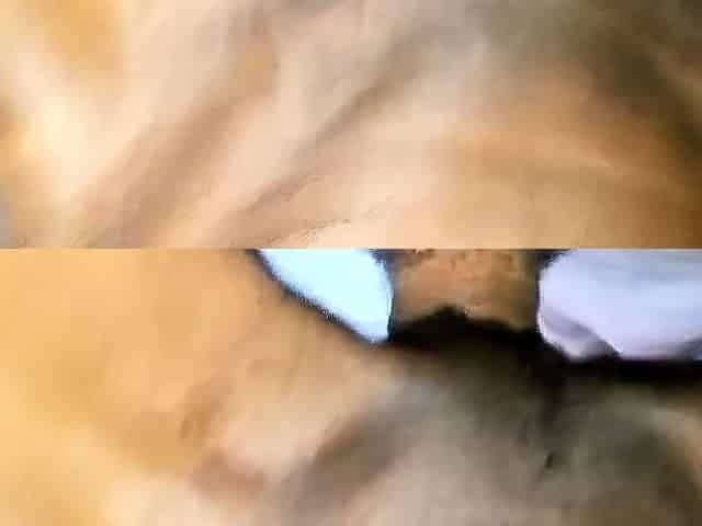 Interracial African Couple's Homemade Tape