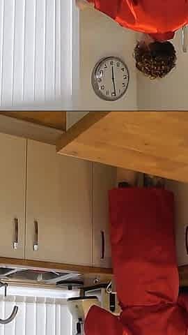 Mr. Creampie Fucks Inara in the Kitchen
