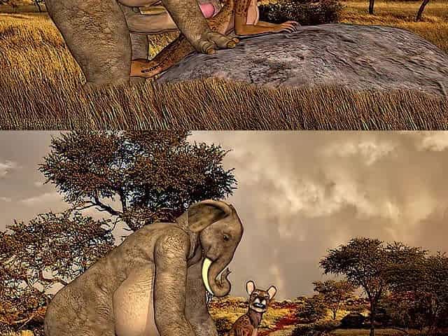 For the Tail