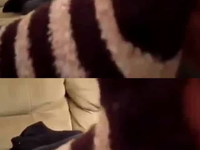 Jamie Daniels sweaty feet worship
