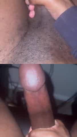 This Ebony Bull Strokes Himself Raw