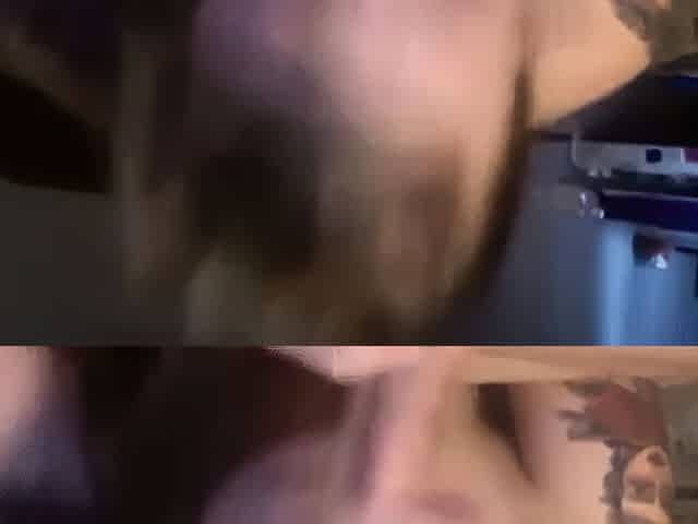 Webcam Girl's Amateur Blowjob and Cum Swallow