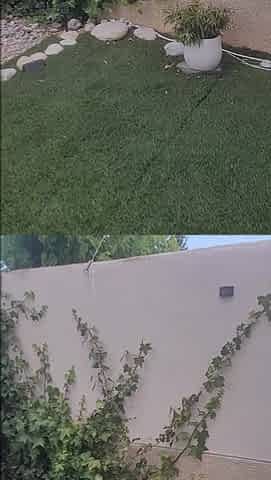 mother I'd like to fuck amateur pays gardener with blow job and cum on face