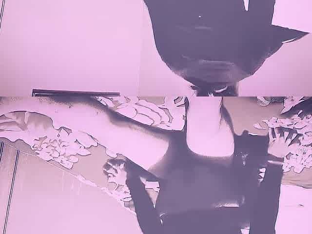 femboy grita como puta cuando se le mete la verga