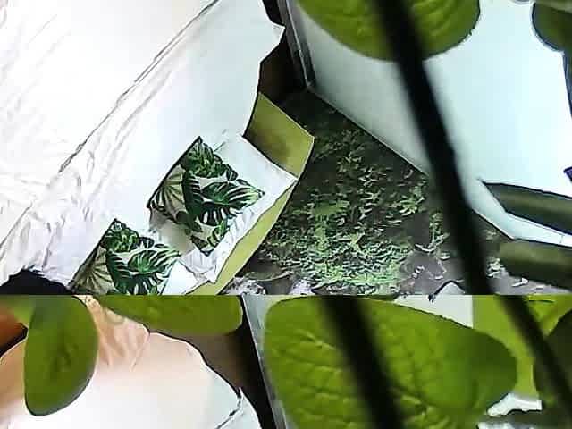Hot amateur hidden cam