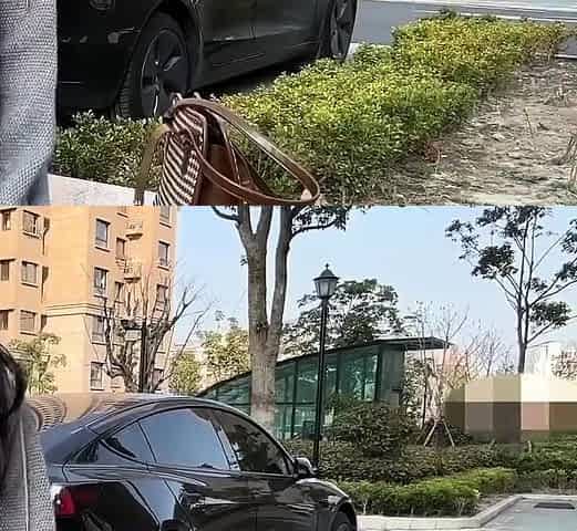 SukiTrans Cum Public