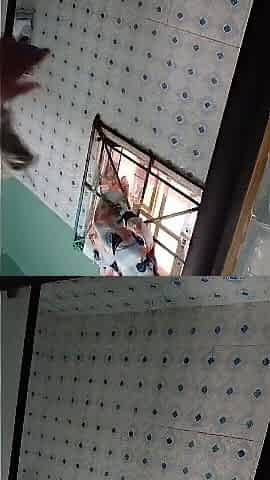 Slender Thick Sister Caught Showering