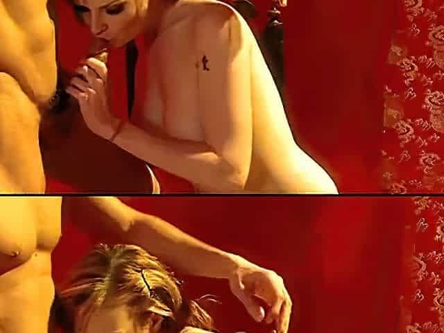Tarra White - Il Museo Della Carne