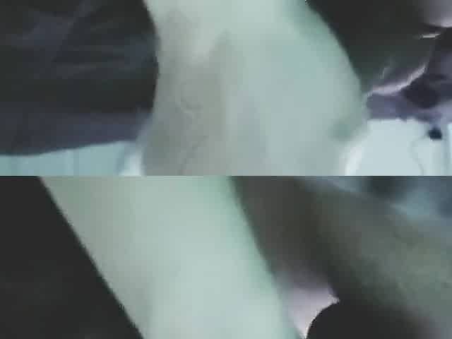 Night Previous to Christmas with a Bitch in the Abode