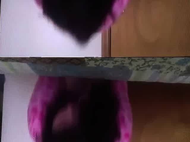 BBW's Anal Adventure on Cam