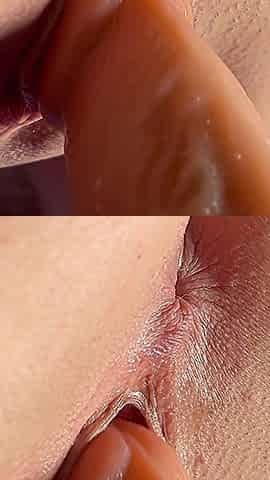 Shaved Close-up and Inside