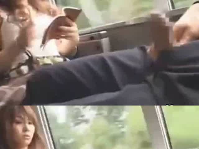 Japanese Busgropers
