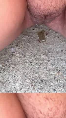 close up piss on the steps