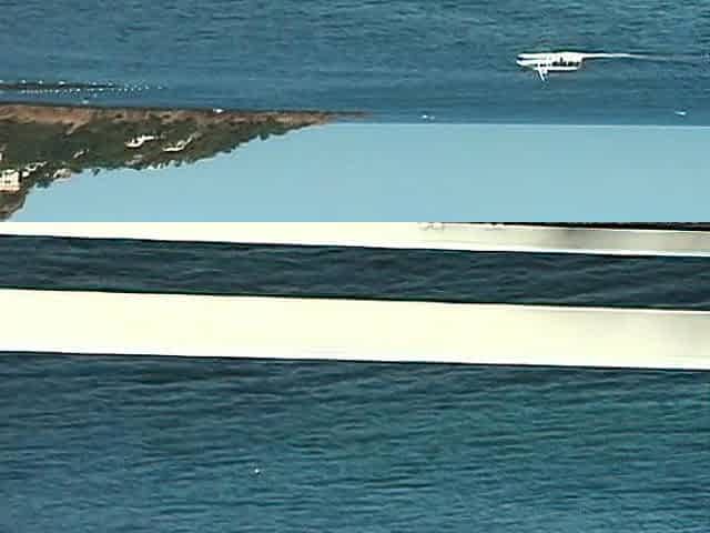 Cute amateur teen blowjob on sex dating
