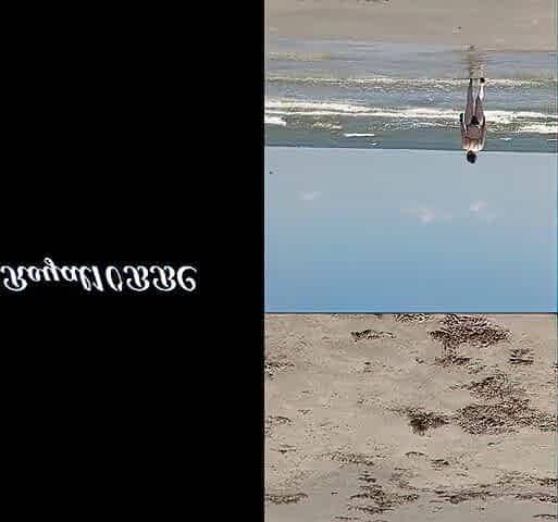picking up some twat at the beach