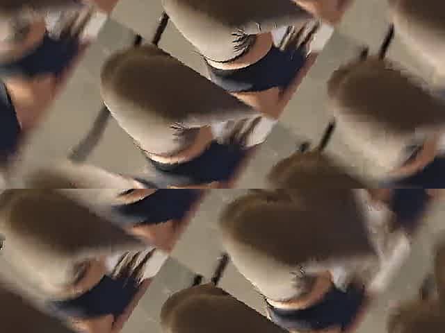 Polish Mamma Drilled After Training