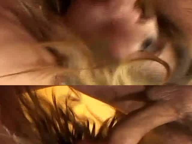 Total Internal Obliteration By Three Hungry Men - Blonde