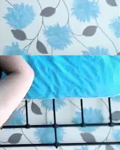 Webcam Girl Gives a Steamy Blowjob