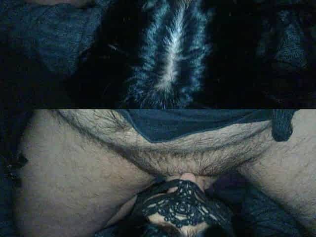 Hot Babe Gives Sloppy Blowjob POV Style