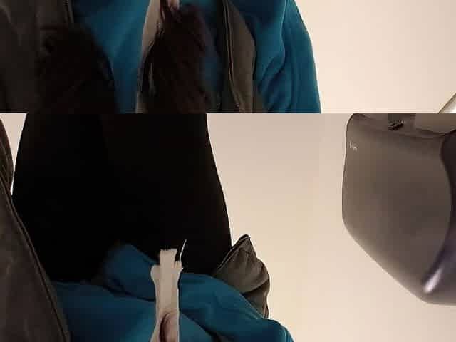 Winking Anal opening Pubic Void urine