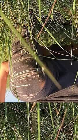 Peeing in the Grass in a Meadow
