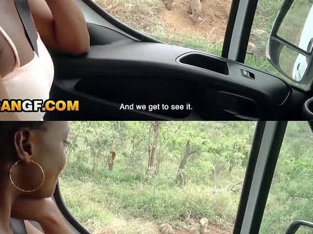 Large Titties Black GF Mouth Banged By BWC In The Centre Of Safari!