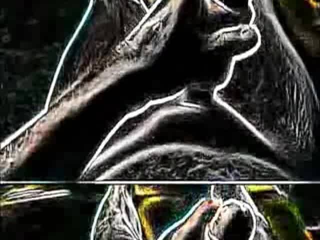My xArt darksome Tugjob v02