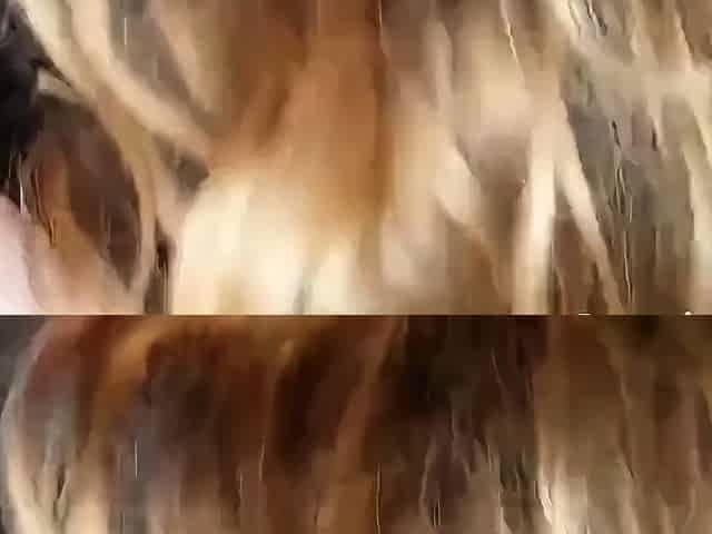 Sexy Amateur MILF Blowjob