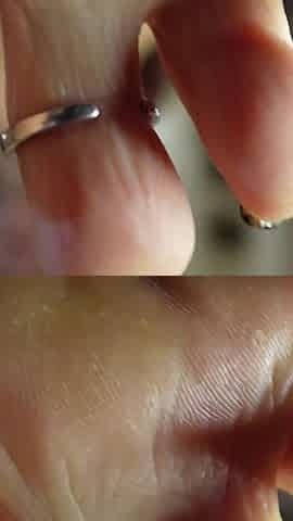Tiny Toes, Big Cravings