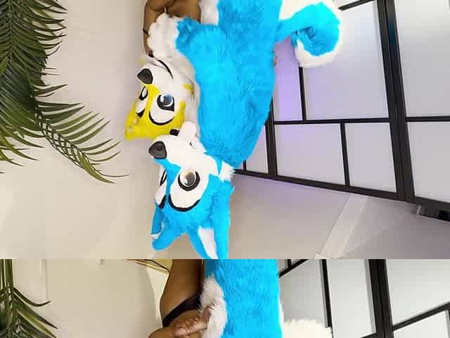 FURRIES IN HEAT MATING , CUM INSIDE