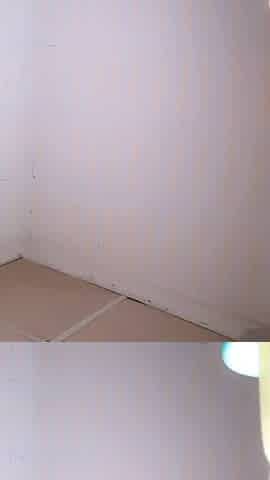 Tango stripchat homemade videos
