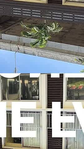 Fucking in the Hotel Beneath the Freeway