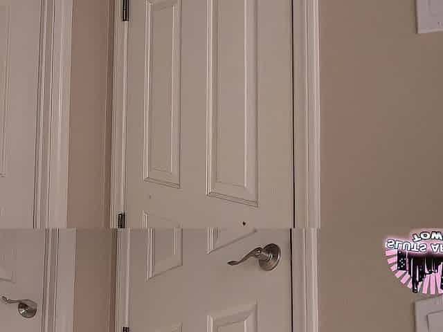 Pornstar Nikki Zee catches roommate stroking to her clips