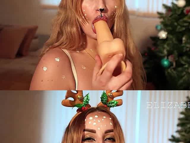 Christmas deer accepts gifts from santa