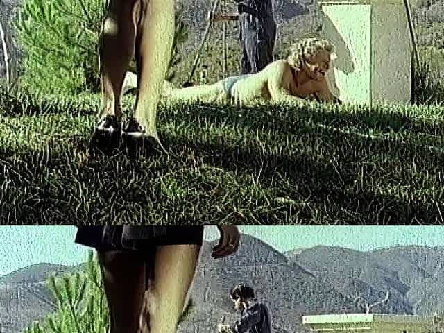 Some Hardcore Pornstar Clips