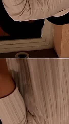 Busty Black Riding Big White Cock