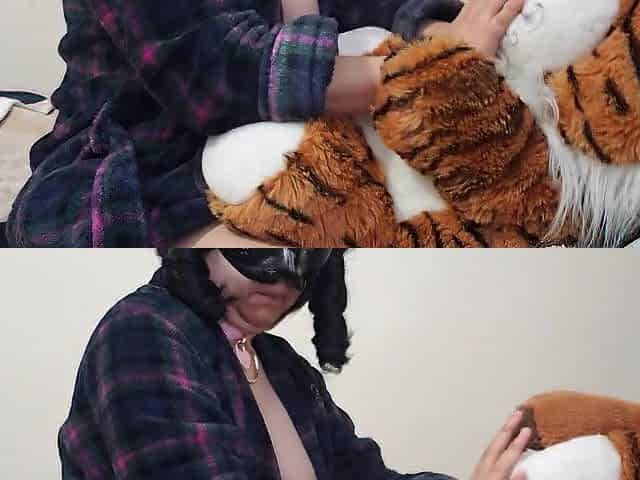 Side view robe humping tiger (fan)