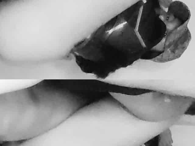 Erotic Exciting Short Film Black Series