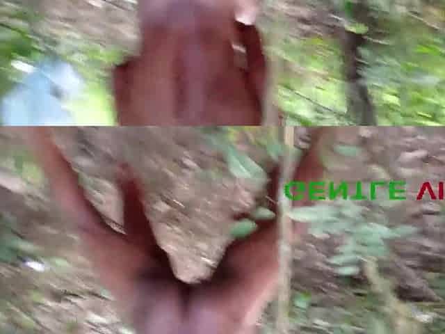 That babe needed me to bang her in the bush