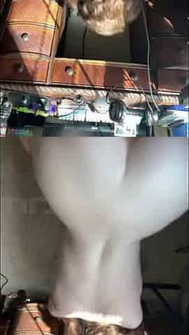 Dildo