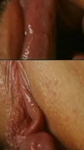 Two Anal at the Same Time