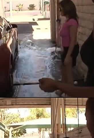 Chavon Taylor Is Curvy Black Slut