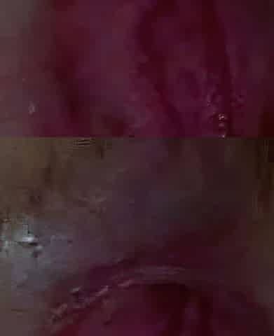 Amateur Asian Couple's Sex Tape