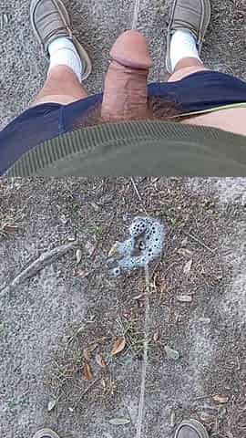 Risky Backyard Pissing Thought It Would Not at any time End Compilation 1 Clip Loop